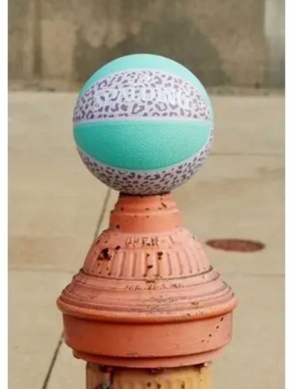 SPALDING x UO BASKETBALL “COOL LEOPARD PRINT” BASKETBALL NEW NWT RARE HTF W/BOX